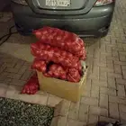 عدد 100 كيس بصل الحجم في الصوره بيع جمله وقطاعي