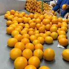 للاستثمار والمشاركه فى نشاط متميز