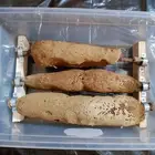 عسل مصفى وشمع بري حر جديد قص 2025 6 14