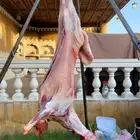 معلم مشاوي مشويات شوي