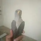 هذا ايش اسمه ياشباب