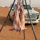 معلم مشويات مشاوي شوي خارجي