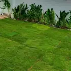 تنسيق حدائق بنواعها