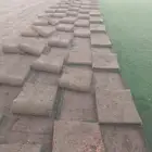 جميع البيانات الياباني الامطار في 2000 درجه اولى جميع انواع