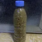 فلفل يمني