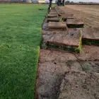 ثيل طبيعي سي 2000 درجه اولى صافي ثيل على الشرط شكل جمالي وخ