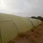 بيوت محميه مجلفن