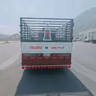 دينا ايسوزو 2016