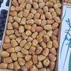 مطلوب مفتل سكري كميه مفتوحه