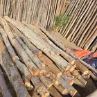 بيع الحبال وقماش الخيش والخشب