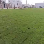 مقاول عام زرعه نخل و الثيل و الأرصفة و عريش و شبوك و مظلات