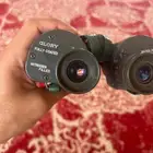 دربيل جلوري