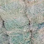 برسيم مخلوط خلطه نجيله ورودس  70 في المية برسيم