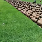 زرع النجله طبيعيه وشبكات الري والاحواض الزراعيه