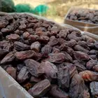 مقاولات عامه