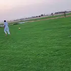 ثيل إنجيلة C2000