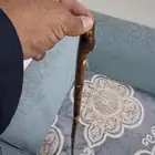 عصا عتم ( تم البيع )