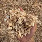 يوجد لدينا نشارة خيل فاخرة