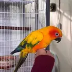 ذكر صن كنيور أليف هدد داخلي محلل جاهز للإنتاج