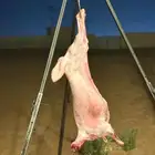 معلم مشويات شوي خارجي