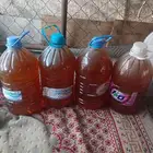 يوجد لدينا عسل مراعي حق نحل افرنجي.