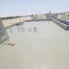 فني عواز