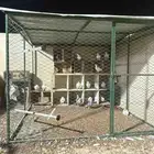 شبك بقلاوة شبك حمام دجاج
