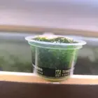 نبات الجافا موس