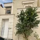 فلل للبيع