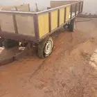قلص للبيع