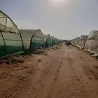 بيوت محميه