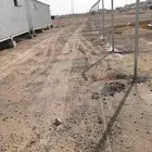 شبوك ونخيل وحجر تراث