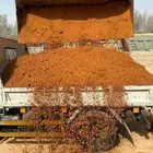 تربه زراعية