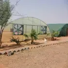 شركة قطاف للبيوت المحمية بالسعودية بأسعار مناسبة