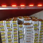 مشروع متميز لرجال وسيدات الأعمال