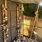 حمام سوري كش للبيع