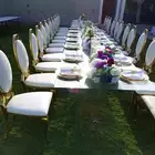 حفلات والمخيمات