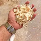 نشاره خشب للدواجن والخيول