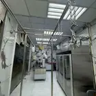 محلمة للتقبيل المدينة المنورة