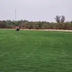 ثيل C2000 إنجيلة