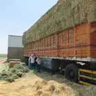 سلام عليكم ورحمة الله وبركاته رودس شد متر طيب