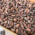 يوجد لدينا جميع انواع التمور مشكلات خلاص وبرحي