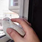 بغبغاء