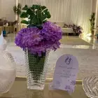 تنسيق حفلات