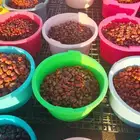 تمور حائل الفاخره