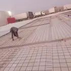 صبه مطبوعه صبه ميزانية صبه مروحه