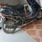 دباب بطه للبيع