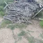 خشب مقاول للبيع