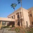 عمال النخل والواشنطني والعربي