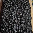 نعرض لكم عجوه ومجدول